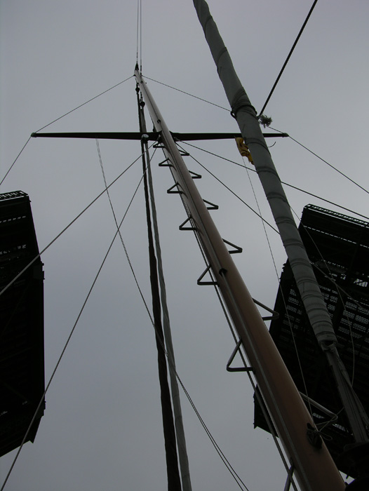 DSCN3506