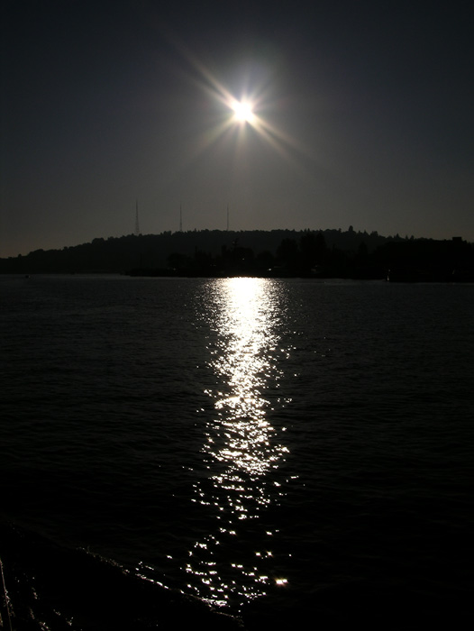 DSCN3578