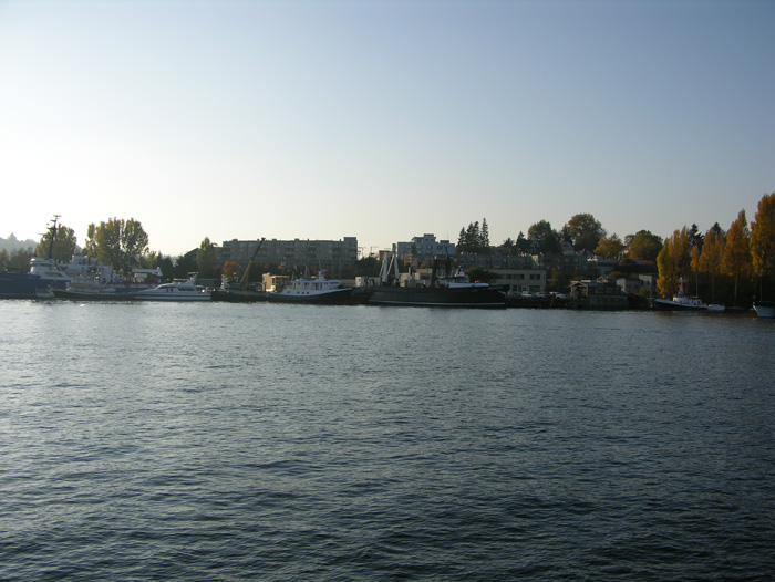 DSCN3581