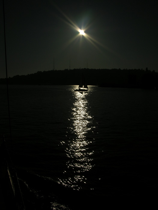 DSCN3583
