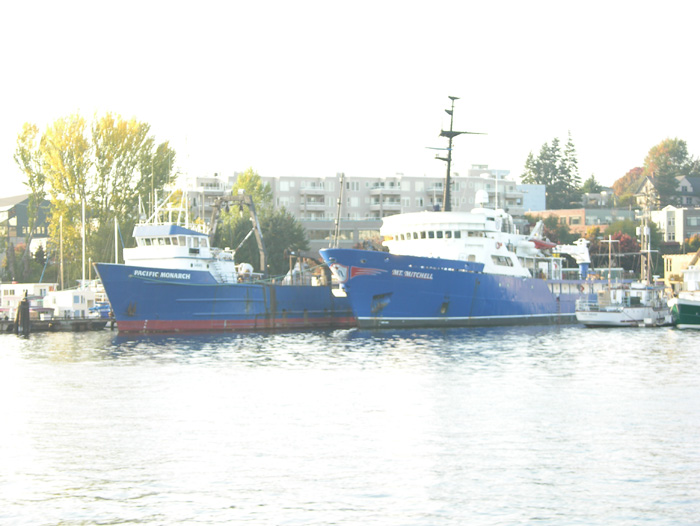 DSCN3584